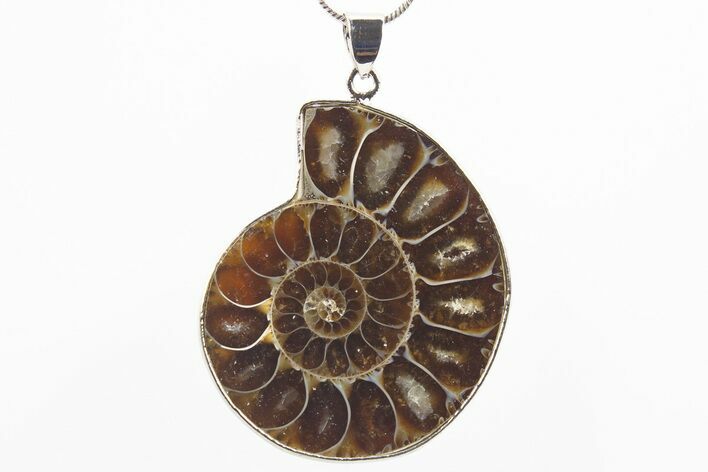 Fossil Ammonite Pendant - Million Years Old #306390